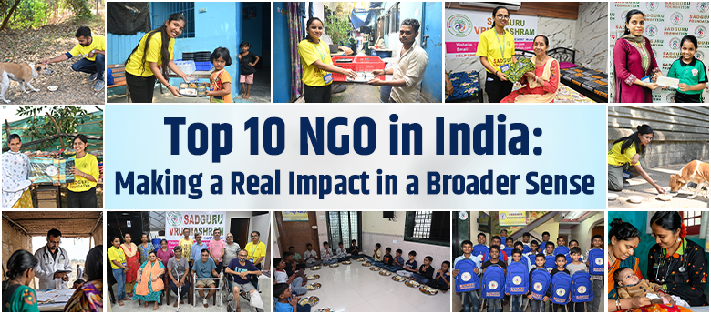 Top 10 NGO in India: Making a Real Impact in a Broader Sense