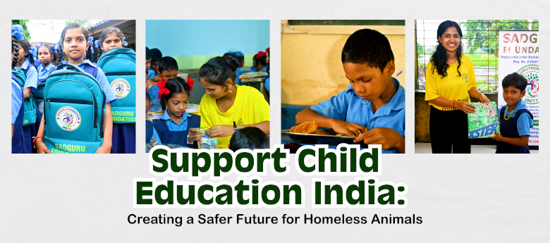 Support Child Education India: Why Every Contribution Creates a Brighter Tomorrow