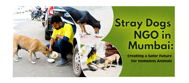 Stray Dogs NGO in Mumbai | Rescue, Care & Adoption