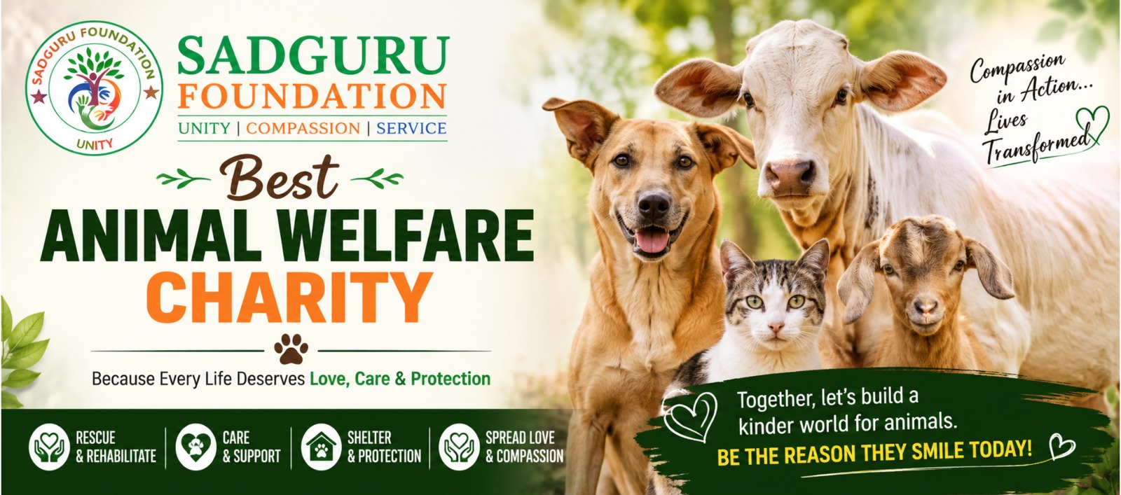 Best Animal Welfare Charity: How to Choose an Organization That Truly Makes a Difference
